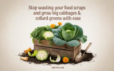 Stop Wasting Your Food Scraps and Grow Big Cabbages & Collard Greens with Ease